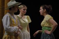 Břeclav, Divadlo Bedřicha Kaněry při Obchodní akademii, Veselé paničky Windorské, 2010