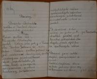 Karlov, Čtenářsko-ochotnický spolek, Dokumentace spolku, Stanovy, 1871