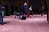 Písek, Sladovna, Výstava Jan A jaK dál, CP Šrámkův Písek 2022