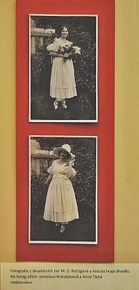 Lysá nad Labem, výstava DIVADLO JE PODIVUHODNÁ VĚC..., výstavní panel, 2018