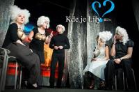 Plzeň, Divadlo MAEBH, Kde je Lily? 2012