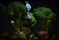 Izrael, Puppet Cinema, Planeta Egg, CP Loutkářská Chrudim 2014