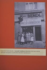 Lysá nad Labem, výstava DIVADLO JE PODIVUHODNÁ VĚC..., výstavní panel, 2018