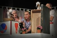 Homole, Studio ŽAS, Kozí pohádka, CP Loutkářská Chrudim 2017