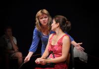 JH 2009, Veverská Bítýška, Prkno – SUZAT, Společnost