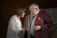 Pardubice, Exil, Do zdi, KP Miletínské divadelní jaro 2022