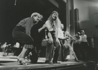 Blansko, Metra, Hra na Dr. Johana Fausta, JH 1987