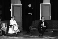 Ledeč nad Sázavou, MIMOCHODEM, Ten, kdo utře nos, premiéra 2008