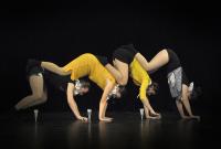 Velké Opatovice, TS Bez hranic, Obrazy mezilidských vz(Tahů), Sokolovská čurda 2018