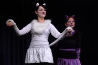 Praha, Máj, Mňau, KP POPAD Praha 2015