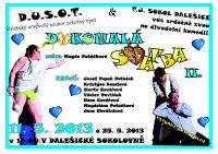 Dalešice, DUSOT, Dokonalá svatba - plakát, 2013