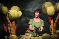 Hradec Králové, Divadlo U staré herečky, Mauglí, CP Jiráskův Hronov 2019