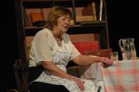 Havlíčkův Brod, Adivadlo, Osamělé večery Dory N., NP seniorského divadla Česká Třebová 2016