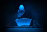 Vševily a Strakonice, Přespolní, Černá slepice, CP LCH 2022