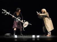 Praha-Nové Město, Nepanto, Pěšinka fotografie, 2006