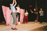 Velké Opatovice,Modráci, Komedie