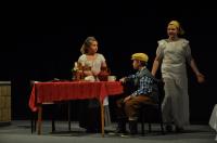 Brzkov, Divadelní kroužek, O Popelce, Divadelní Přibyslav 2014