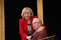 Libice n.C., Vojan, Půldruhé hodiny zpoždění, NP seniorského divadla Miletín 2014