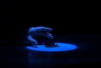 Praha, KALD DAMU, O jako Otesánek, CP LCH 2021