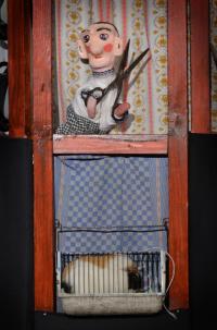 Jaroměř , ZUŠ F. A. Šporka, LS Mikrle, Hotel, CP Loutkářská Chrudim 2012