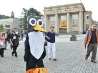 Seminář S, Marcela Kokošková-JeřábkováJH 2010