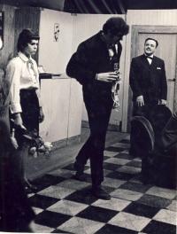 Přeštice, Úhlavan, Penzion Belveder