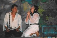 Trstěnice, Vojnarka, Radúz a Mahulena, 2004