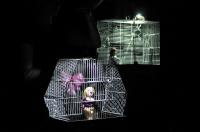 Jaroměř, Popcorn ZUŠ F. A. Šporka, Dcerky, CP Šrámkův Písek 2025