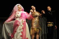 Česká Lípa, Divadelní klub Jirásek, Ženitba, CP Divadelní Piknik Volyně 2024