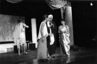 Velké Meziříčí, Vysočina, Osel a stín, 1999