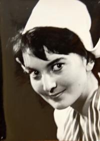 Třebíč, ZGK Borovina, Drak je drak