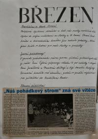 Přibyslav, Sluníčko, Kronika školní družiny, 1993 - 1998
