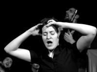 Plzeň, L. S. Věk, Fucking generation, 2007