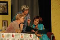 Žlutice, Žlutičan, Můj krásný svět, NP seniorského divadla Česká Třebová 2016