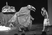 Krnov, Červiven, Ostrov tet, 2010