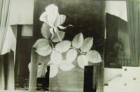 Praha, Národní divadlo, Stavovské, Milenci z kiosku, Bedřich Feuerstein, 1932, foto opony