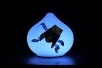 Hradce Králové, Osamocená, CKD, LCH 2021