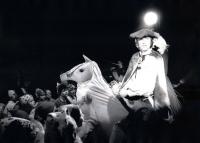 Brno, Husa na provázku, Svolávám všechny skřítky…, CP FEMAD Libice n. Cidl. 1991