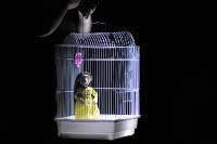 Jaroměř, Popcorn ZUŠ F. A. Šporka, Dcerky, CP Šrámkův Písek 2025