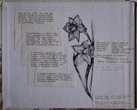 Žirovnice, Divadelní spolek, Kronika, 2000 - 2001