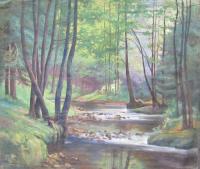 Slatina nad Úpou, Havlíček, propsekt potok v lese, autor neznámý, 193x, maj. Ferdinand Falta