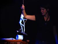 Plzeň, L. S. Věk, Fucking Generation, LCH 2007