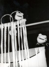 Praha-Vinohrady, DLS ÚDDM JF, Zpívající fontánka, 1975