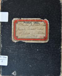 Polánky nad Dědinou, SDO Alois Jirásek, Kniha protokolů, 1919 - 1925