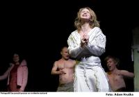 Prah 13, Kunsthaus, Lov na losa, 2010