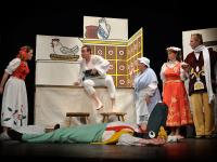 Žďár nad Sázavou, Divadelní spolek, Byl jednou jeden drak, Popelka 2009