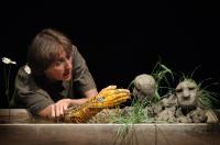 Choceň, Hana Voříšková a Matěj Pospíšil, O zlaté rybce, CP Jiráskův Hronov 2012