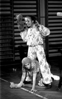 Modřišice, LDS Čmukaři, Medvídek Pú - nebo tak nějak, JH 1993