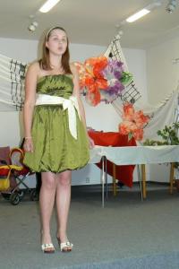 Děčín, ZUŠ, z činnosti LDO 2009