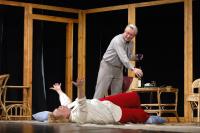 Libice n.C., Vojan, Půldruhé hodiny zpoždění, NP seniorského divadla Miletín 2014